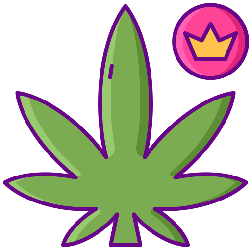 Prémiové CBD kvety