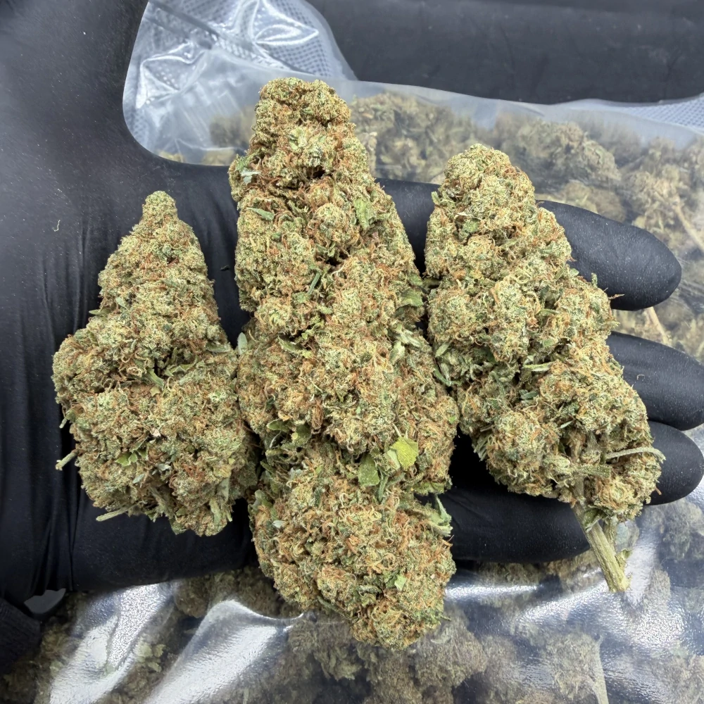 CBD kvety - Godzila 5g