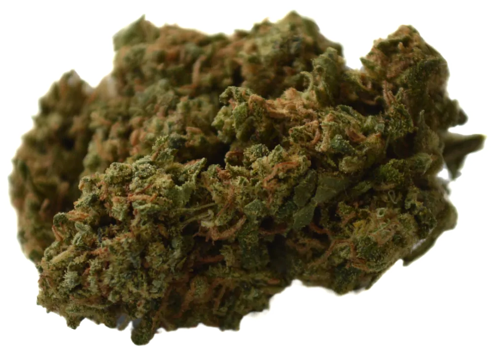CBD kvety - PopCorn 50