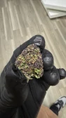 CBD kvety - Purple Haze 10G (8+2 zdarma)