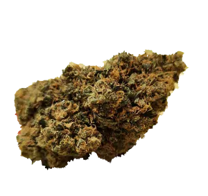 CBD kvety - Orange  5G
