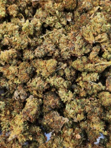 CBD kvety - Strawberry + 20%  CC9 5G