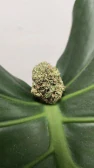 CBD kvety - Deep Candy 5g