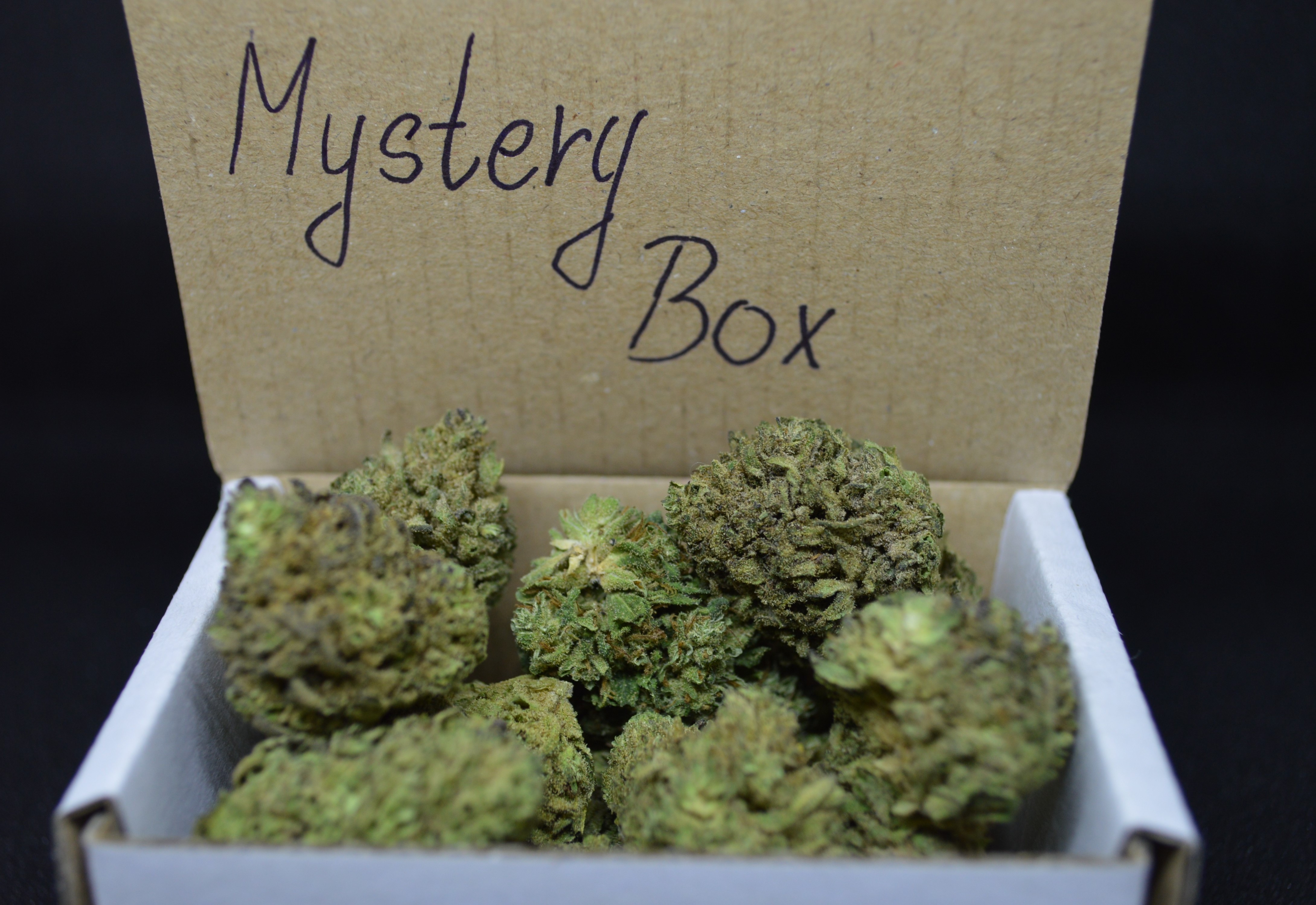 CBD MYSTERYBOX