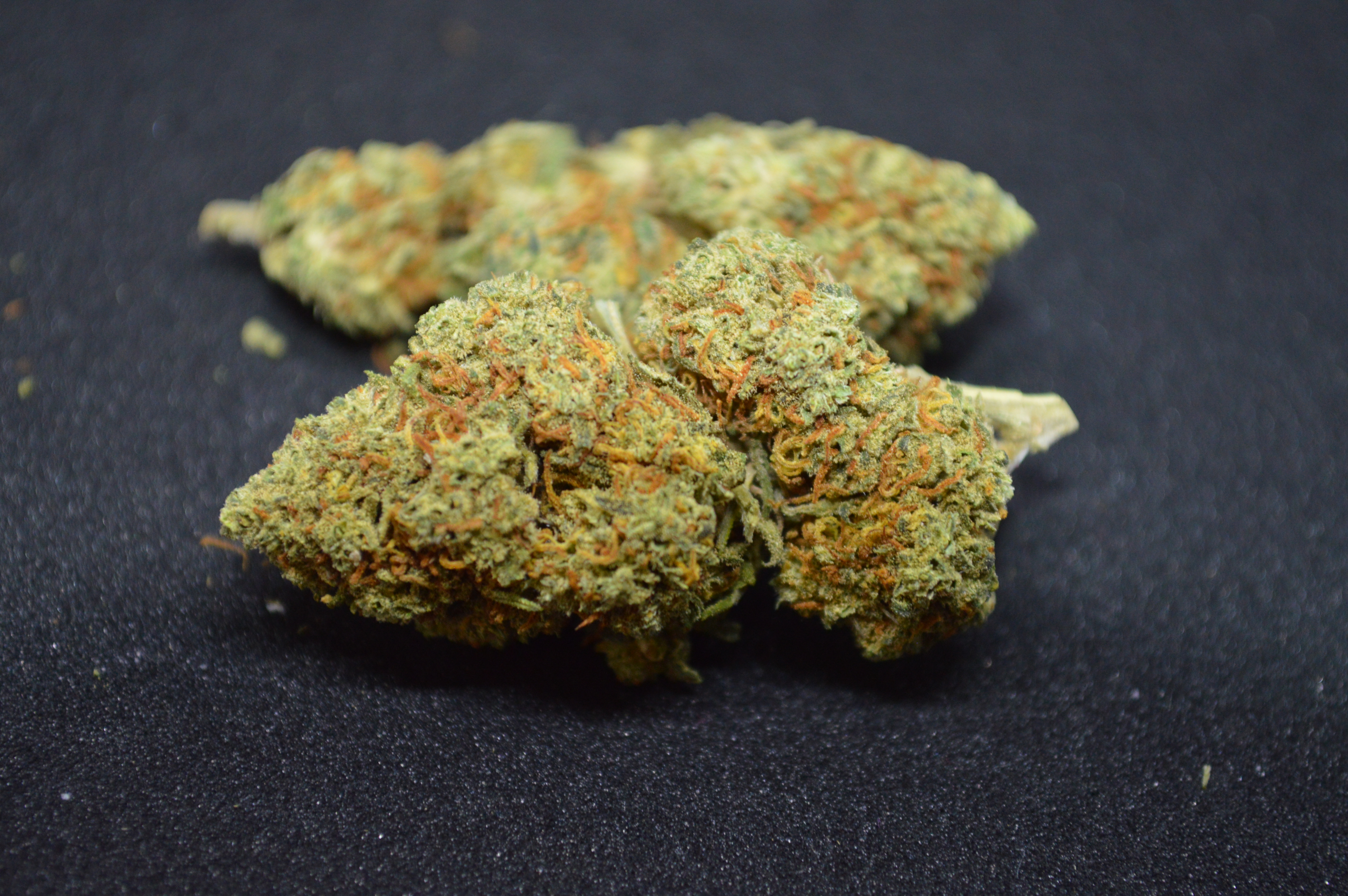 CBD kvety - Amnesia 1KG