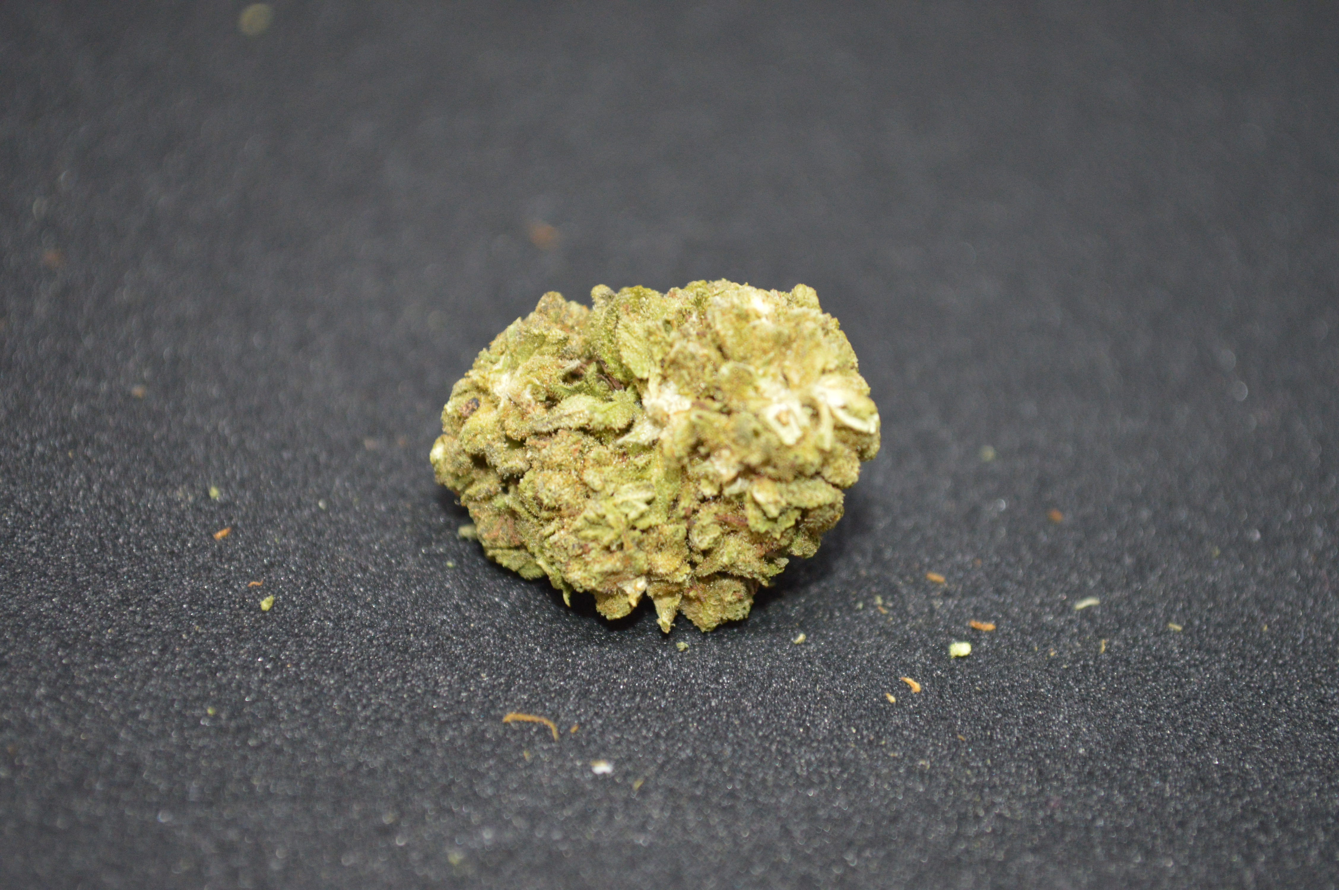 CBD kvety - Critical Kush 1KG