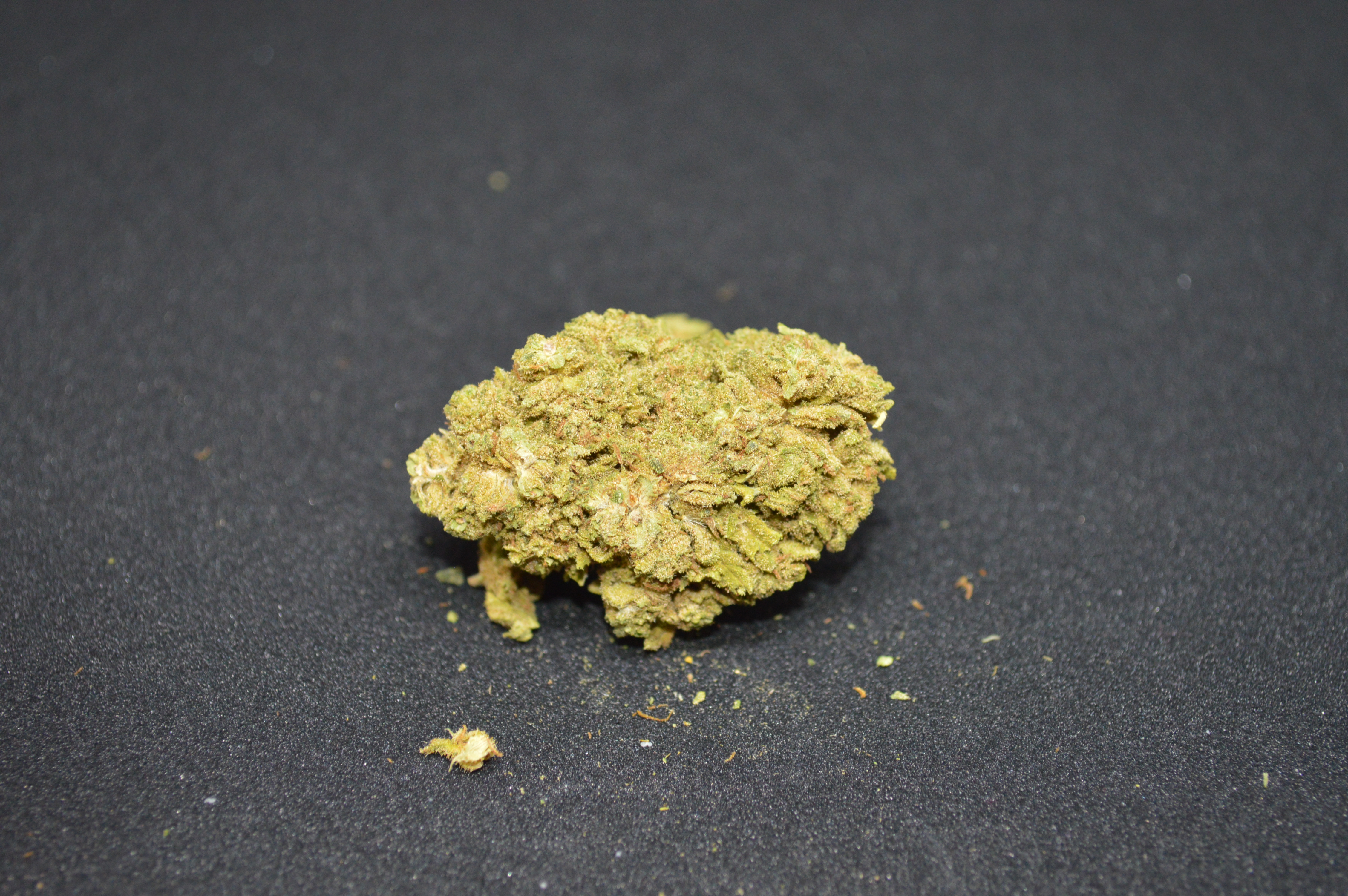 CBD kvety - Jack Herer 1KG