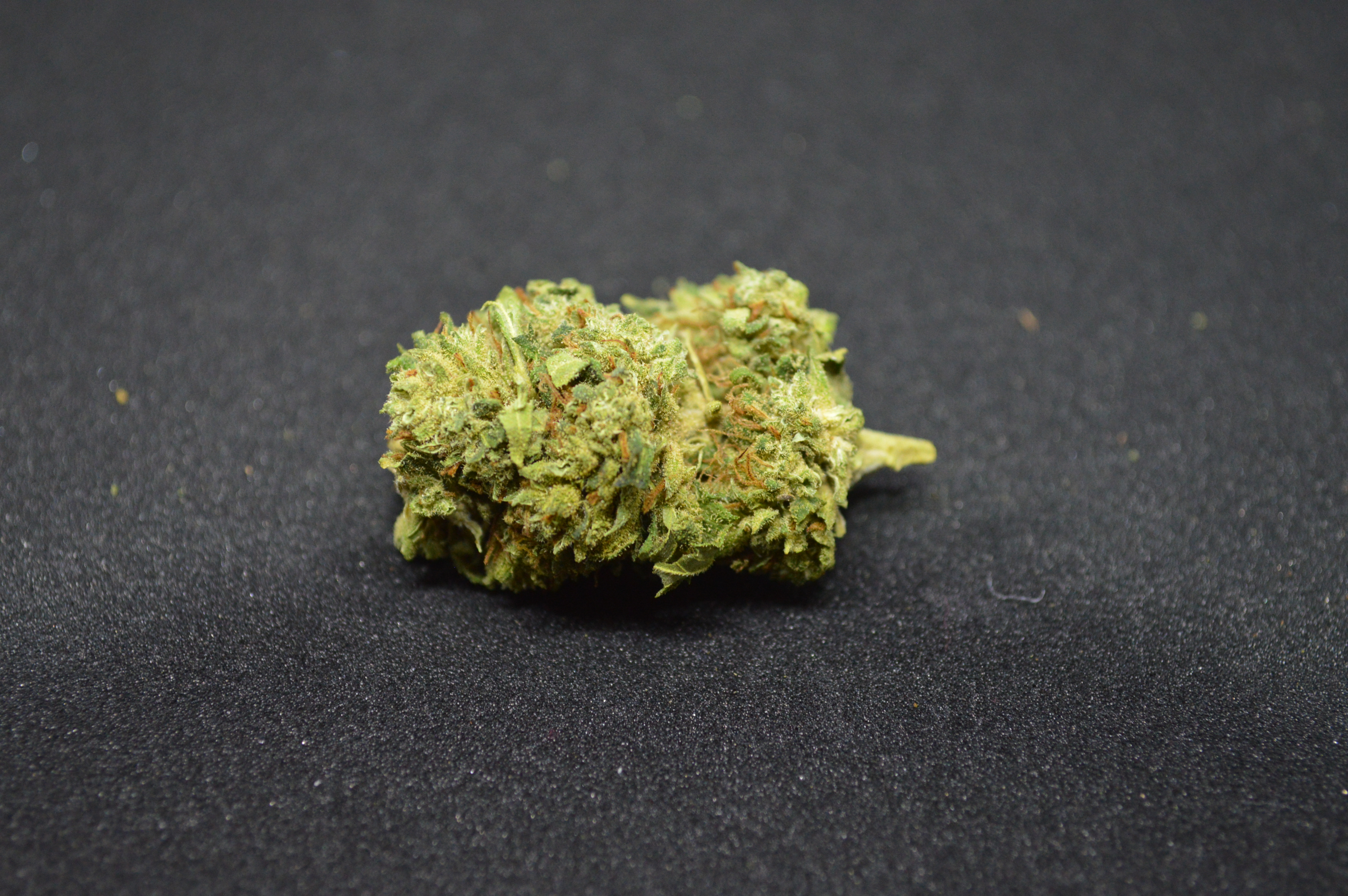 CBD kvety - Blackberry 1KG Intenzita a Ovocná Harmonia