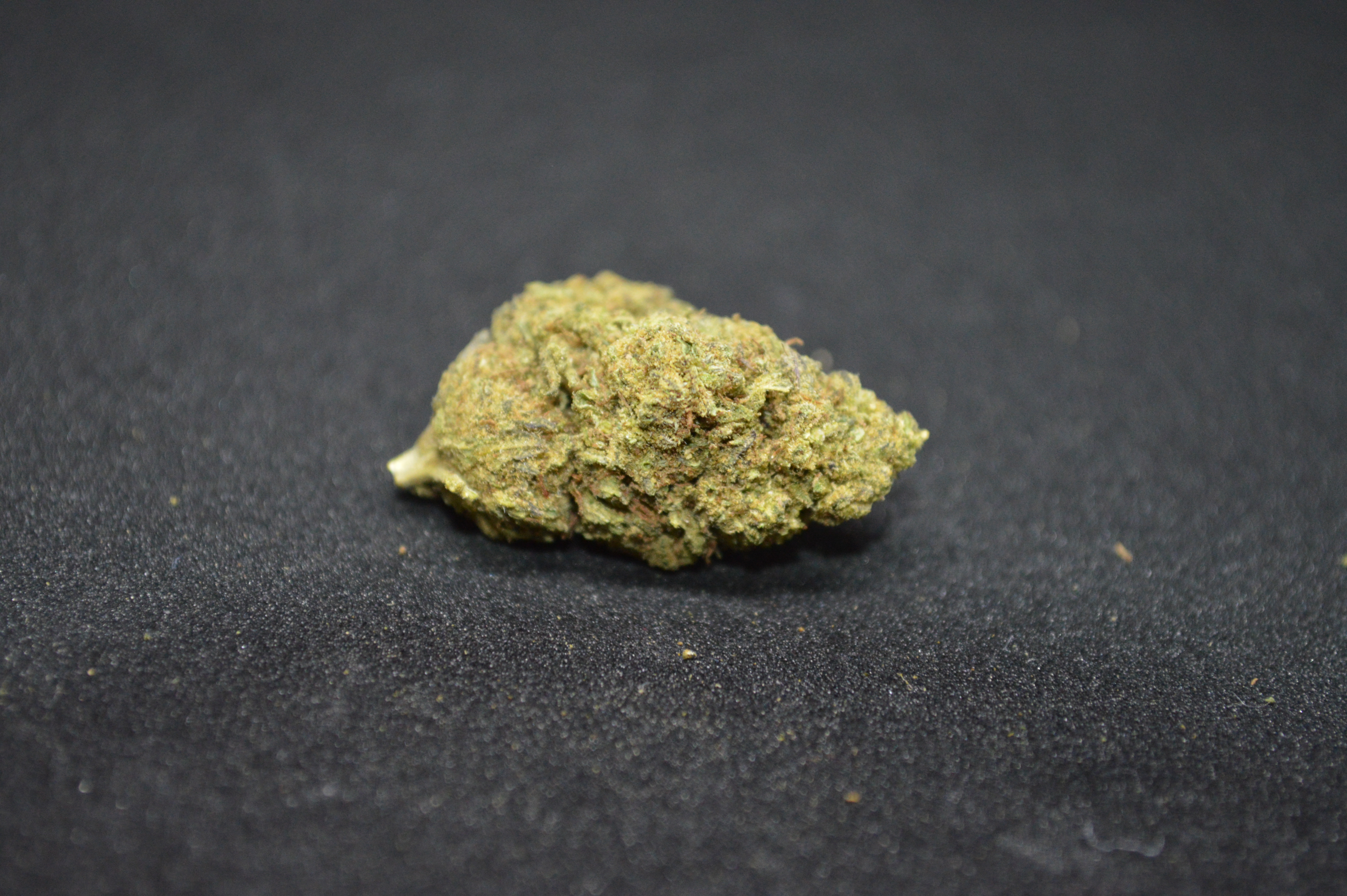 CBD kvety - Blueberry 1KG