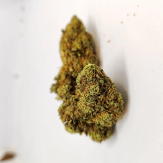 CBD kvety - Pasion Fruit 5G Ovocná chuť v každom kvete s obsahom THC do 0.2%