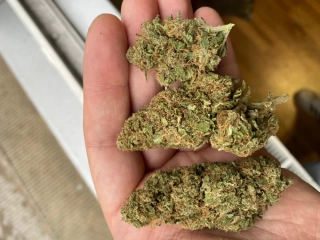 CBD kvety - Amnesia Lemon 10G Výrazné citrusové tóny pre dokonalé osvieženie