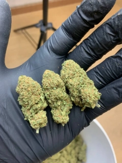 CBD kvety - weeding cake 10G