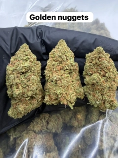 CBD kvety Golden Nuggets 5g