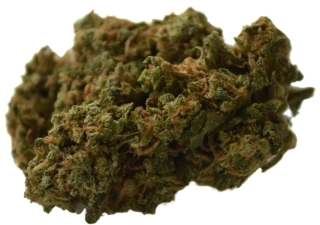 CBD kvety - PopCorn 50